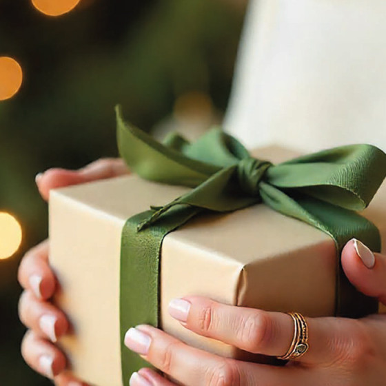 WINTER EDITION SET 65ml BIODROGA